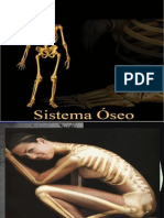 Sistema Óseo 