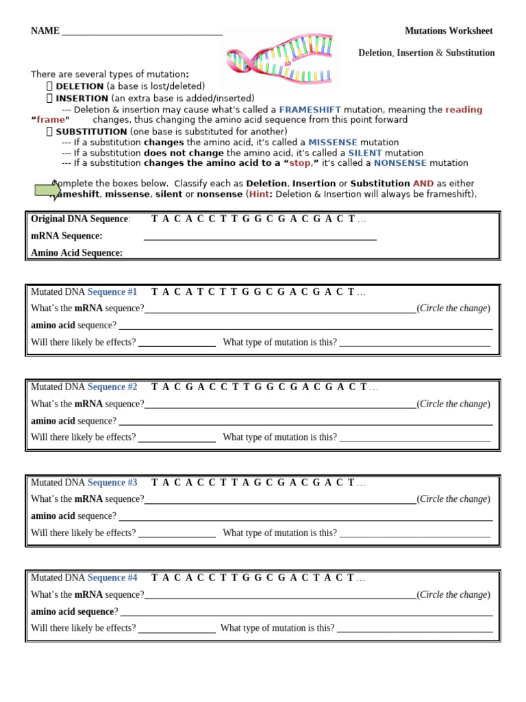 Bio Worksheet Mutations | PDF | Point Mutation | Nucleic Acid Sequence