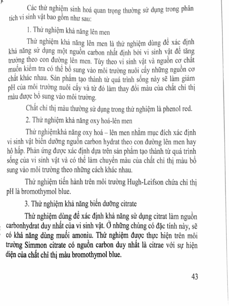 C4 | PDF