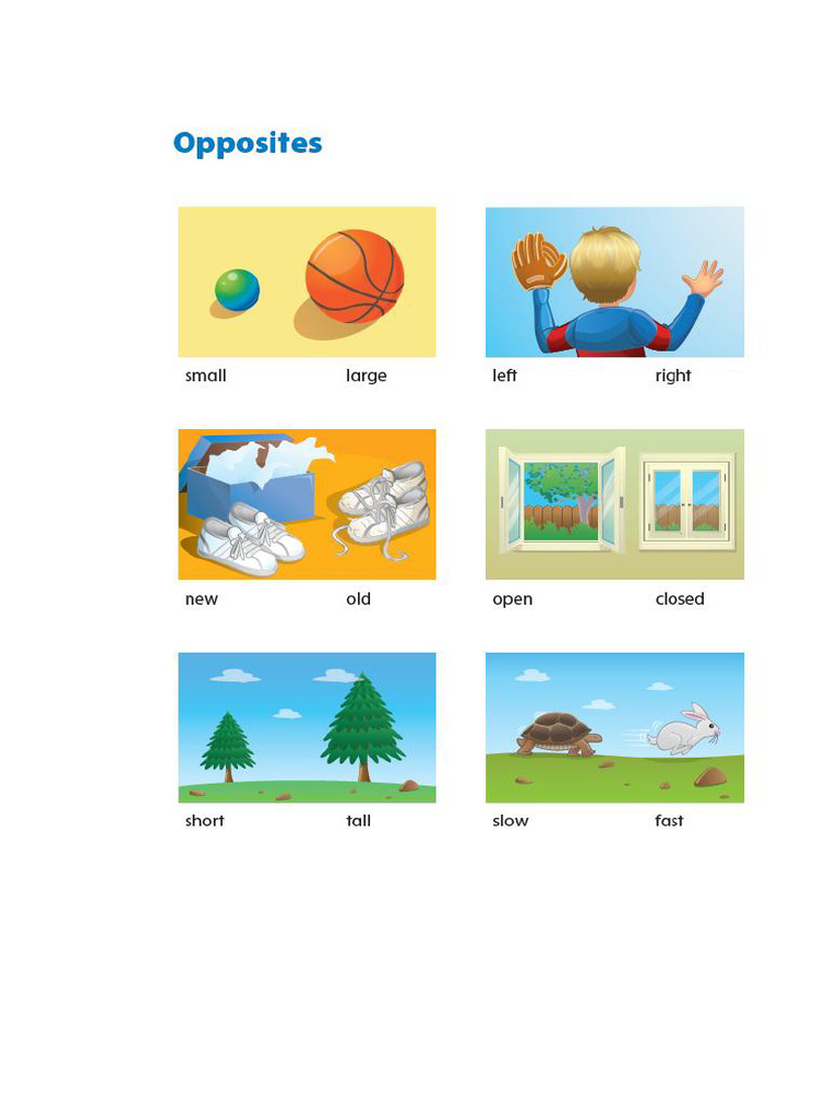 Getting Started | PDF