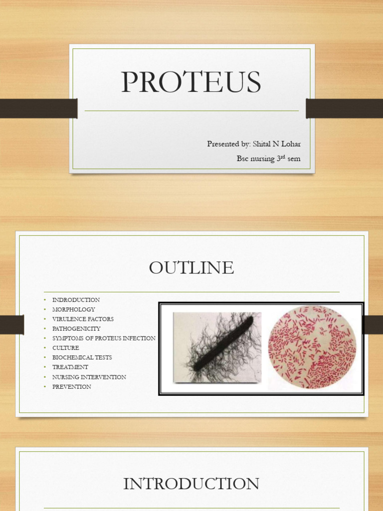 Proteus | PDF | Infection | Urinary Tract Infection