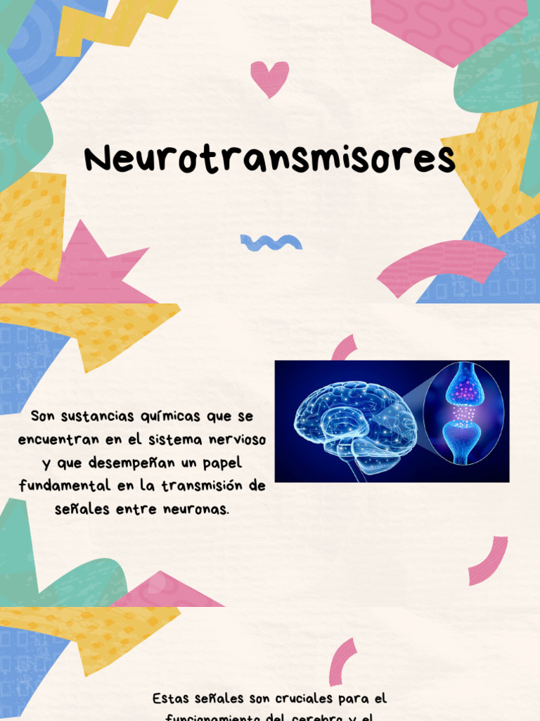 Neuro Transm I Sores | PDF
