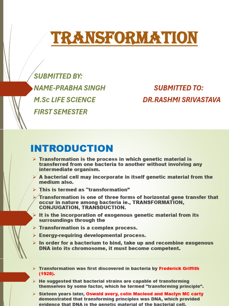 Transformation Project New 1 | PDF | Dna | Biotechnology