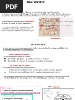 Anatomie et pathologies des ganglions rachidiens | PDF | Nerf ...