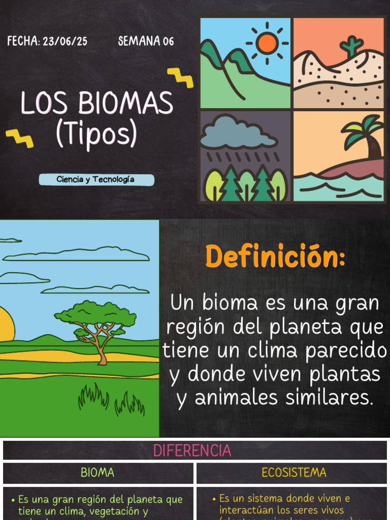 Biomas 5to | PDF | Selva | Desierto