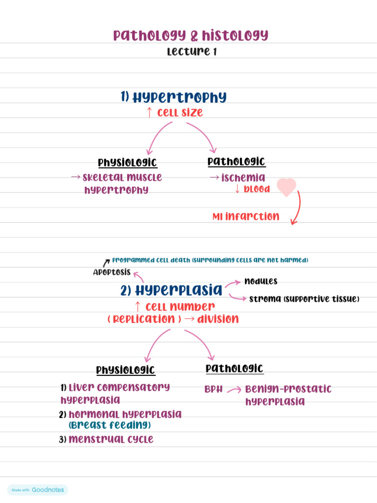 Lecture 1 Notes | PDF