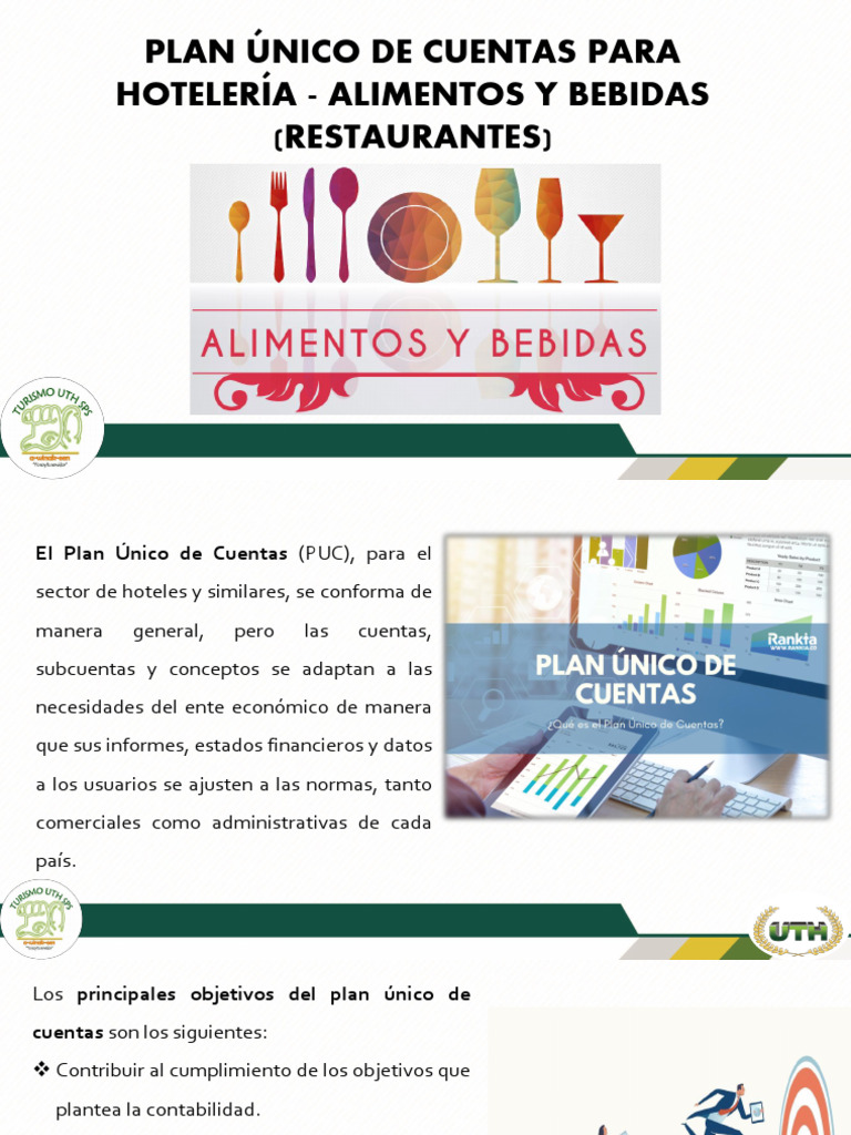 5-. Plan Unico de Cuentas | PDF | Contabilidad | Estado financiero