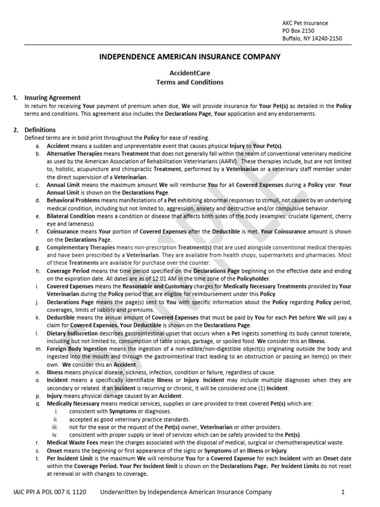 Iaic Ppi A Pol 007 Il 1120 Accidentonly Grpcredit Akc+Sample | PDF ...
