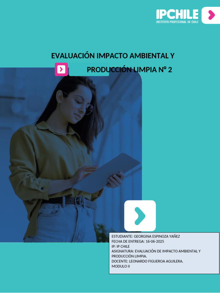 2 - Evaluación de Impacto Ambiental y Producción Limpia . | PDF ...