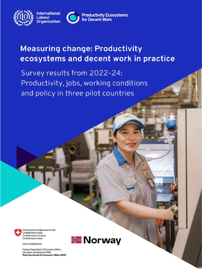 ILO Productivity Ecosystems For Decent Work - Measuring Change | PDF ...