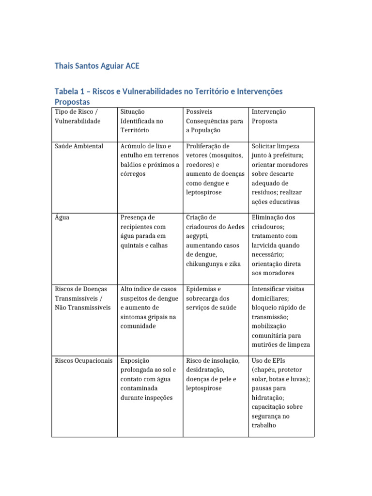 Tabela Riscos Vulnerabilidades ACE | PDF