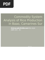 Rice Morphology and Growth Stages Guide | PDF | Rice | Seedling