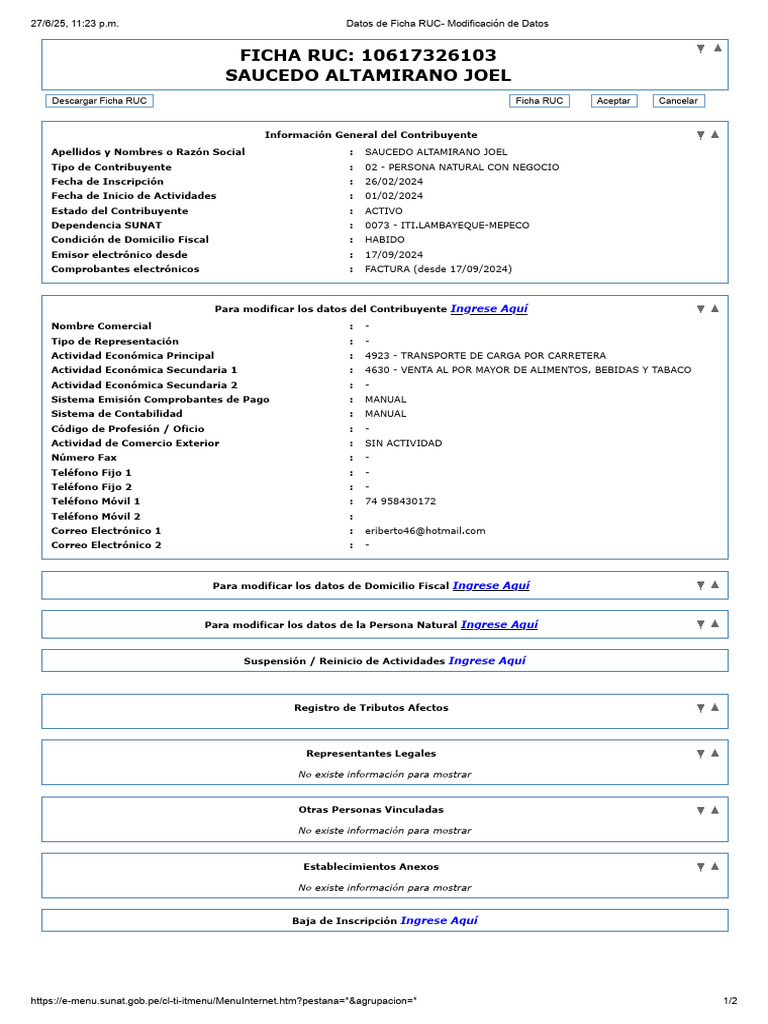 Ficha RUC Joel | PDF | Industrias de servicio | Economias