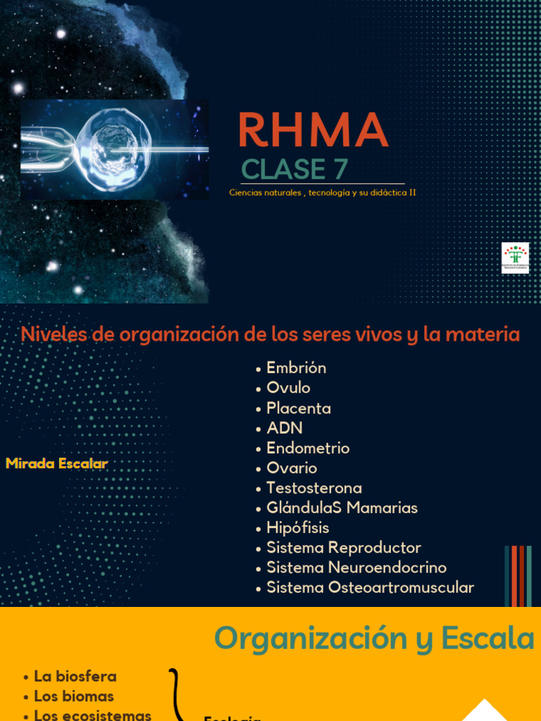 RHMA_presentacion_clase_7 | PDF | Ovario | Fertilización en vitro