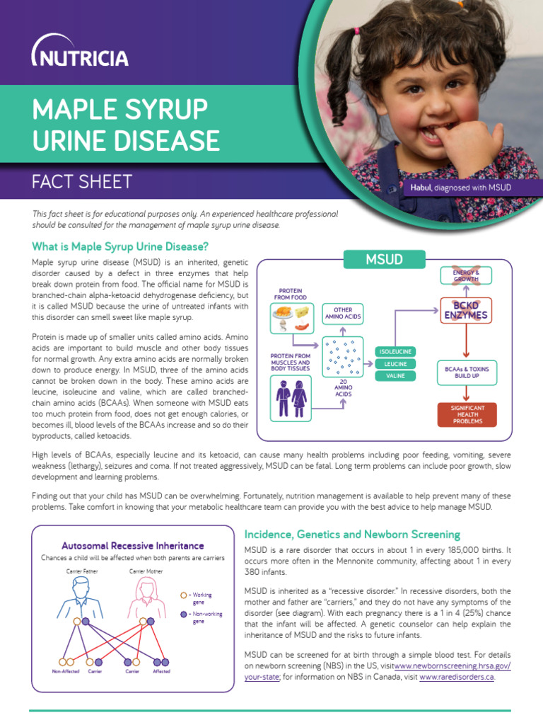 MSUD FactSheet | PDF | Clinical Medicine | Diseases And Disorders