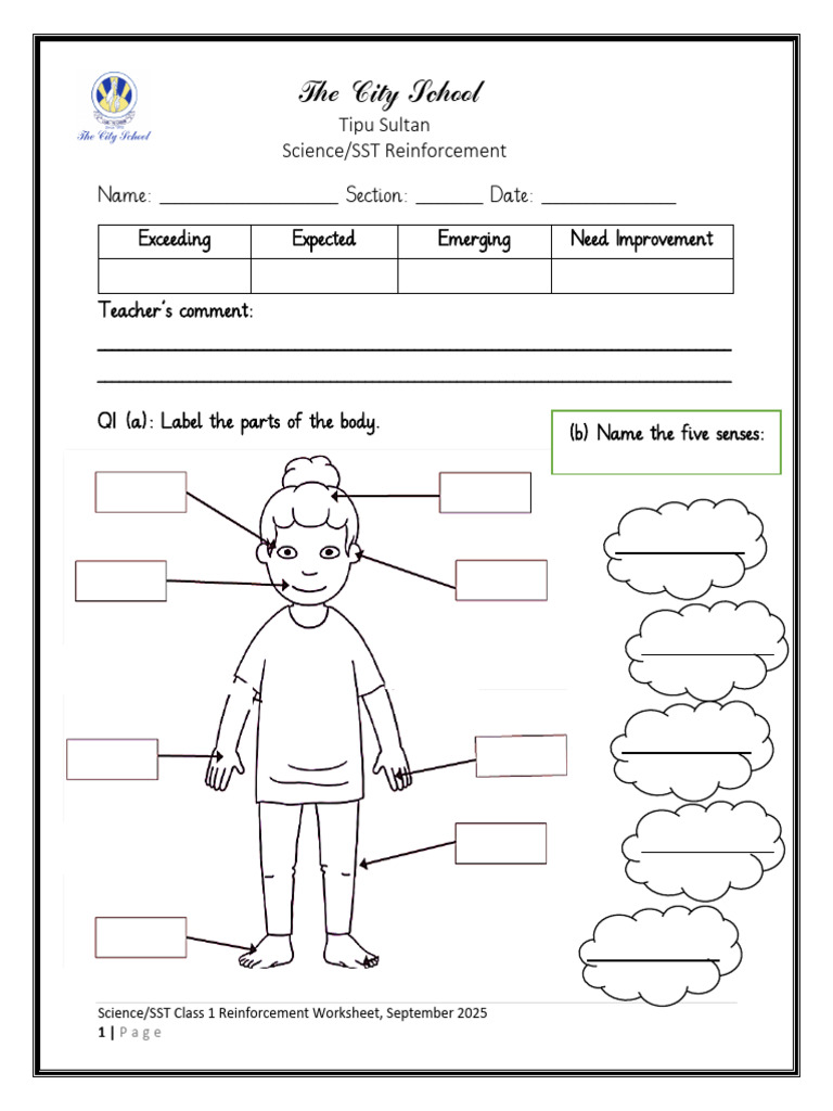 Revision Worksheet Sci SST September 25 | PDF