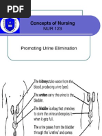Download Promoting Urine EliminationPromoting Bowel EliminationPromoting Proper Nutrition by Ikatan Perawat Maternitas Jatim SN101705110 doc pdf