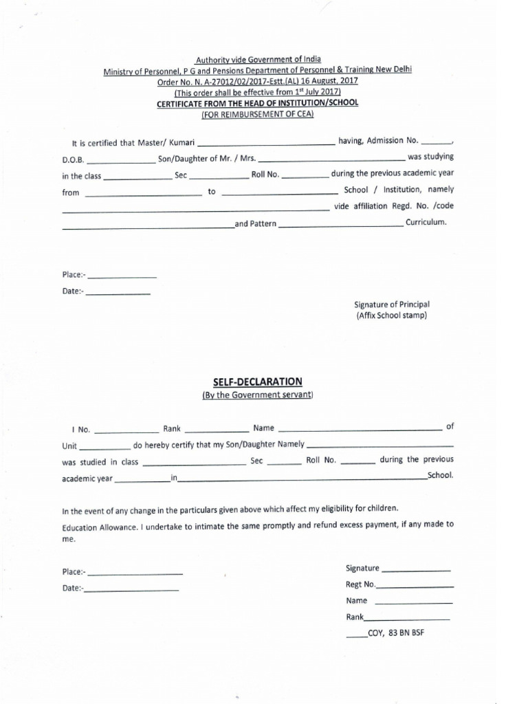 CEA Form | PDF