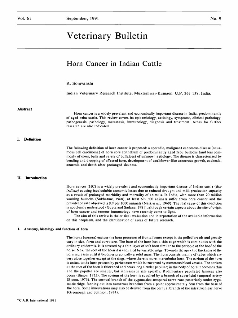 Horn Cancer in Indian Cattle | PDF