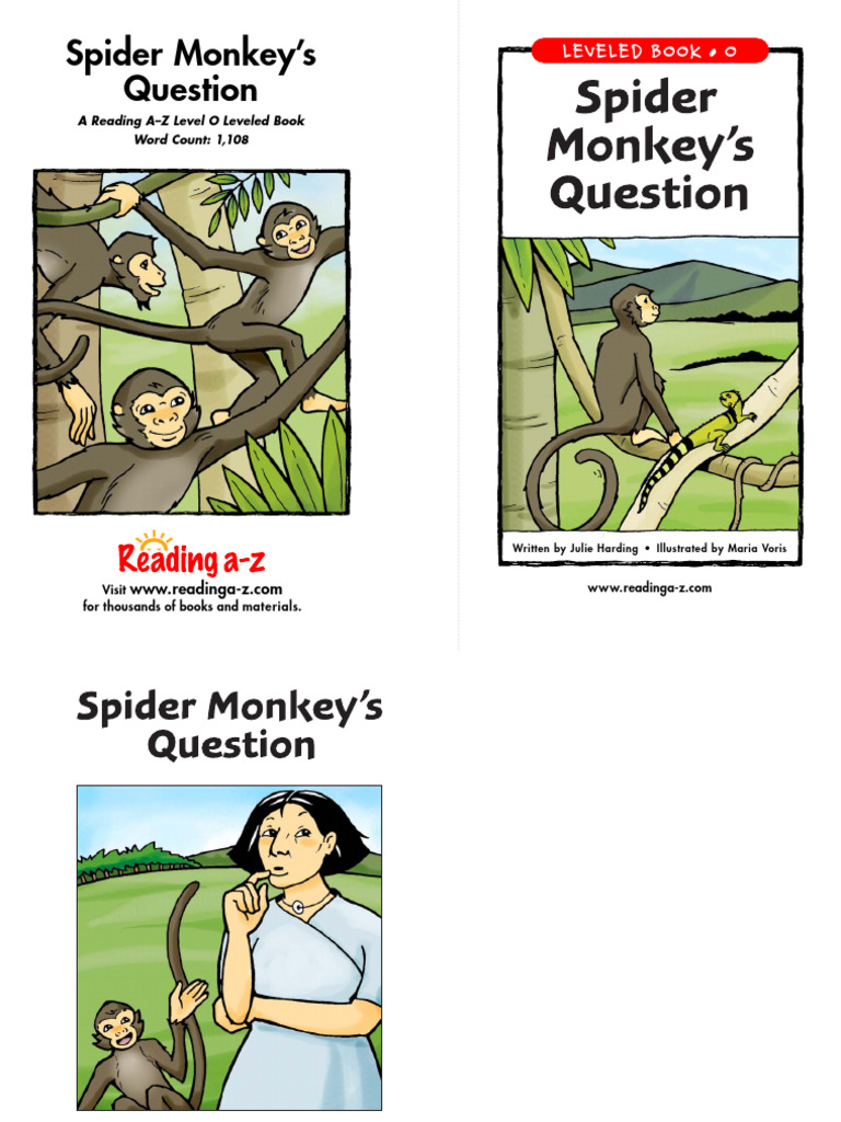 Spider Monkey's Question | PDF