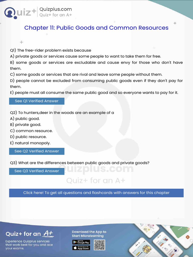 The Freerider Problem Exists Because | PDF | Elasticity (Economics ...