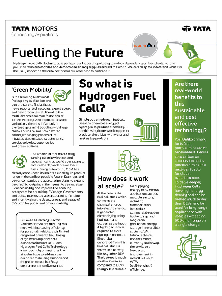 Hydrogen Fuel Cell | PDF