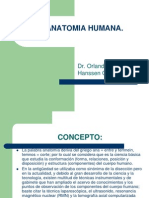 laanatomiahumana-101016162856-phpapp01.pptx