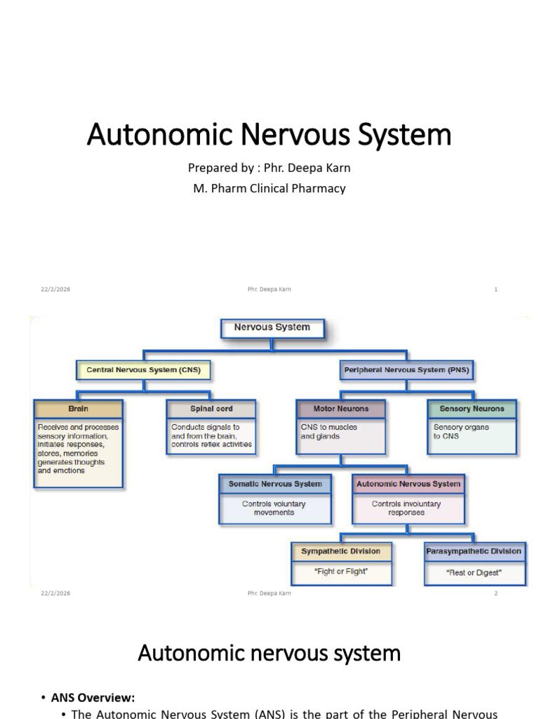 Autonomic Nervous System | PDF | Autonomic Nervous System | Acetylcholine
