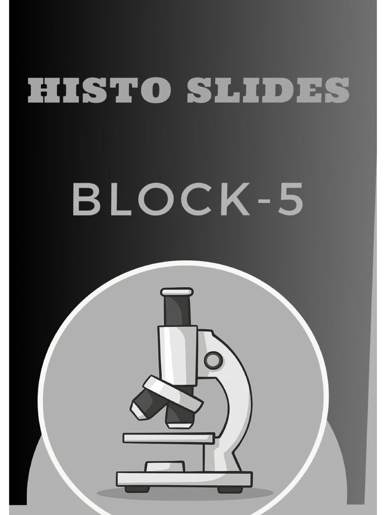 Slides Block 5 | PDF