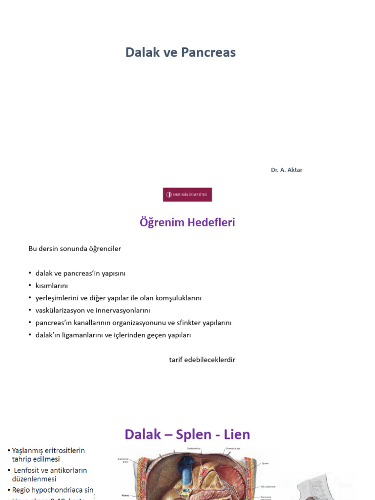16) Pancreas Dalak - Dr. Aylin Aktar | PDF
