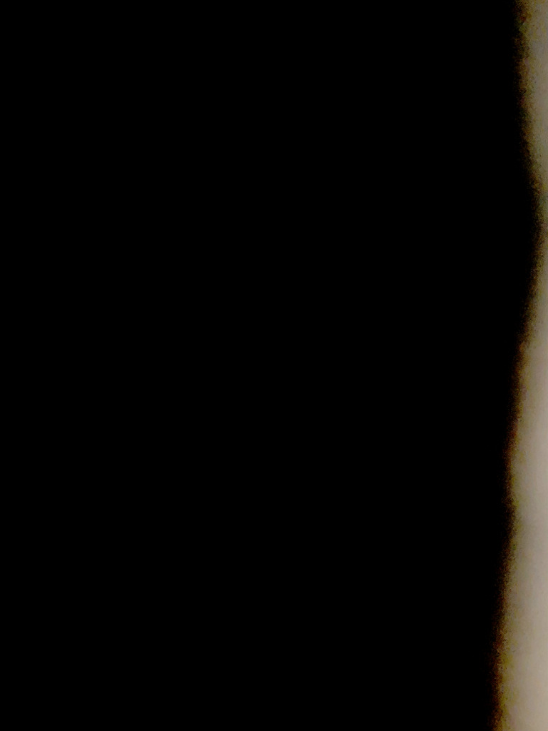 Scan | PDF