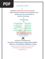 Fly Ash Soil Blocks