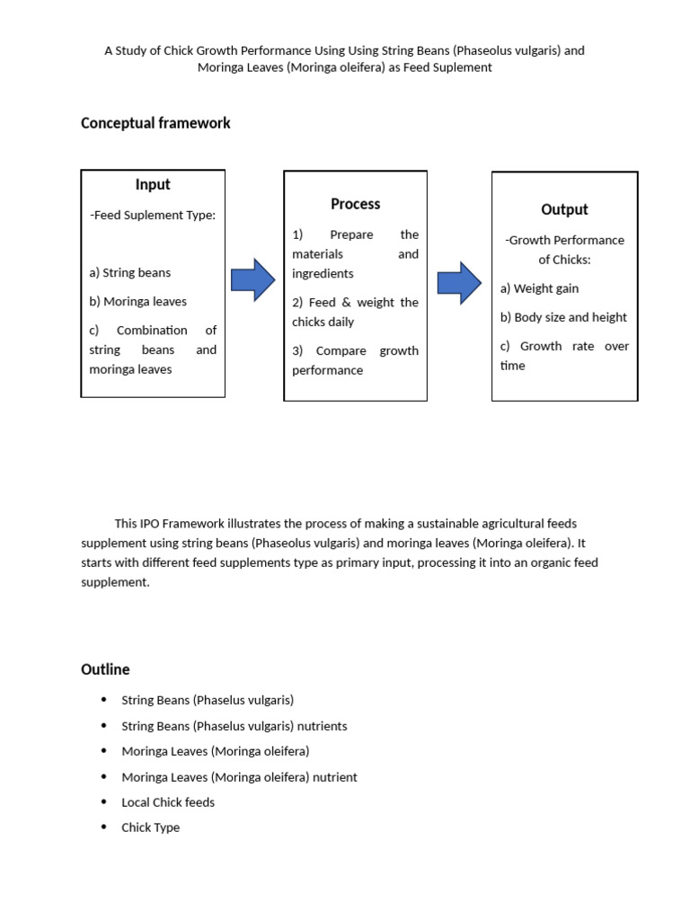 Conceptual Framework | PDF