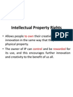 Intellectual Property Rights: To Own