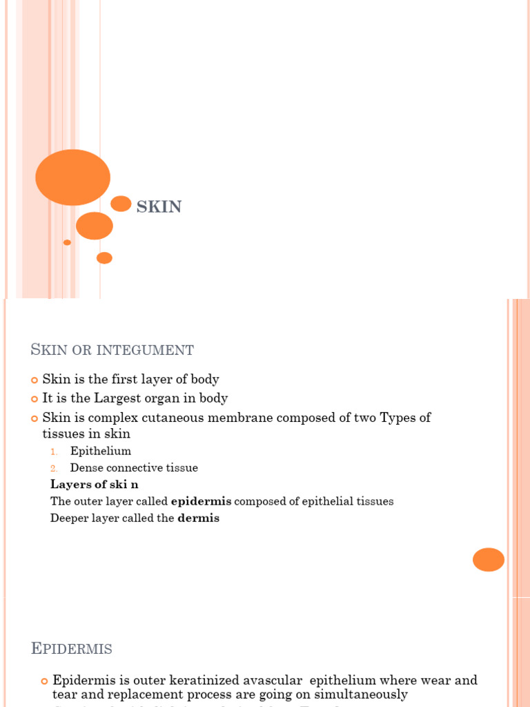 Skin | PDF
