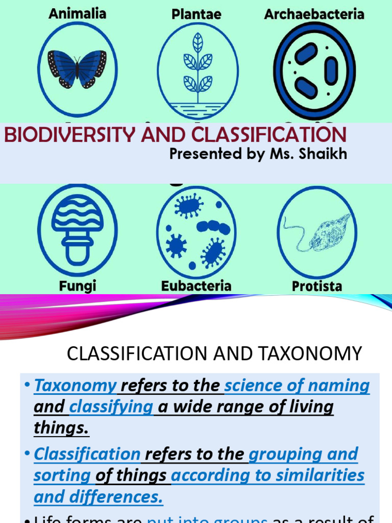 1.9) Classification Systems, Notes, Classwork | PDF