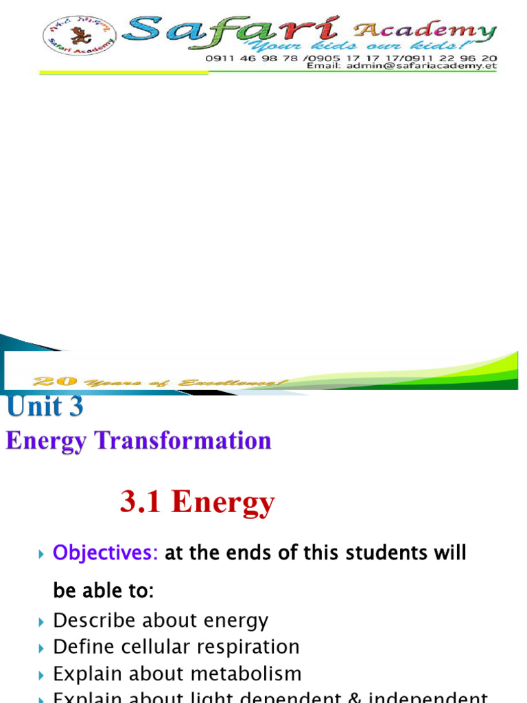 Biology Lesson Note For Grade 12 ... Unit 3 | PDF | Photosynthesis ...