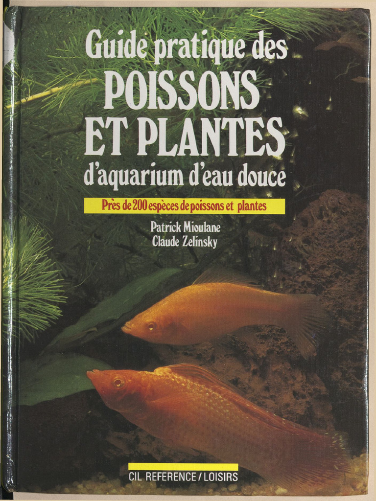 Aquarium | PDF