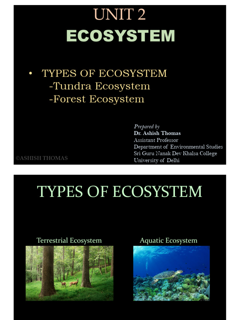 Ecosystem Part 3 | PDF