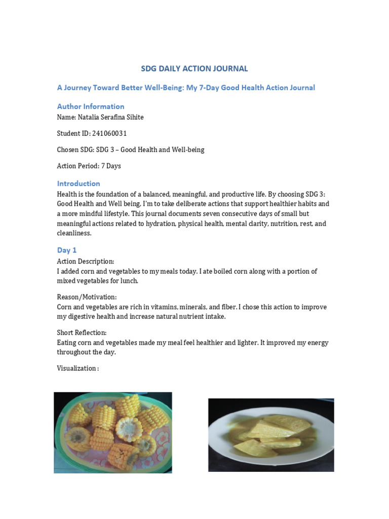 SDG Good Health Journal-1 | PDF | Hygiene | Determinants Of Health