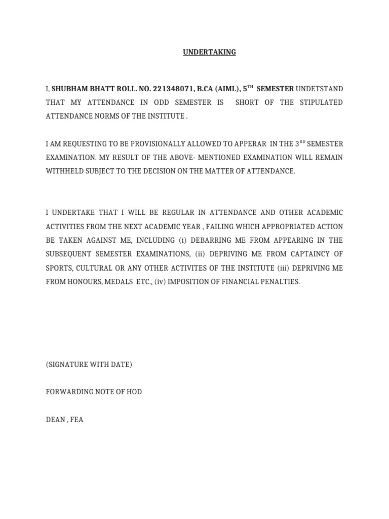 Undertaking | PDF