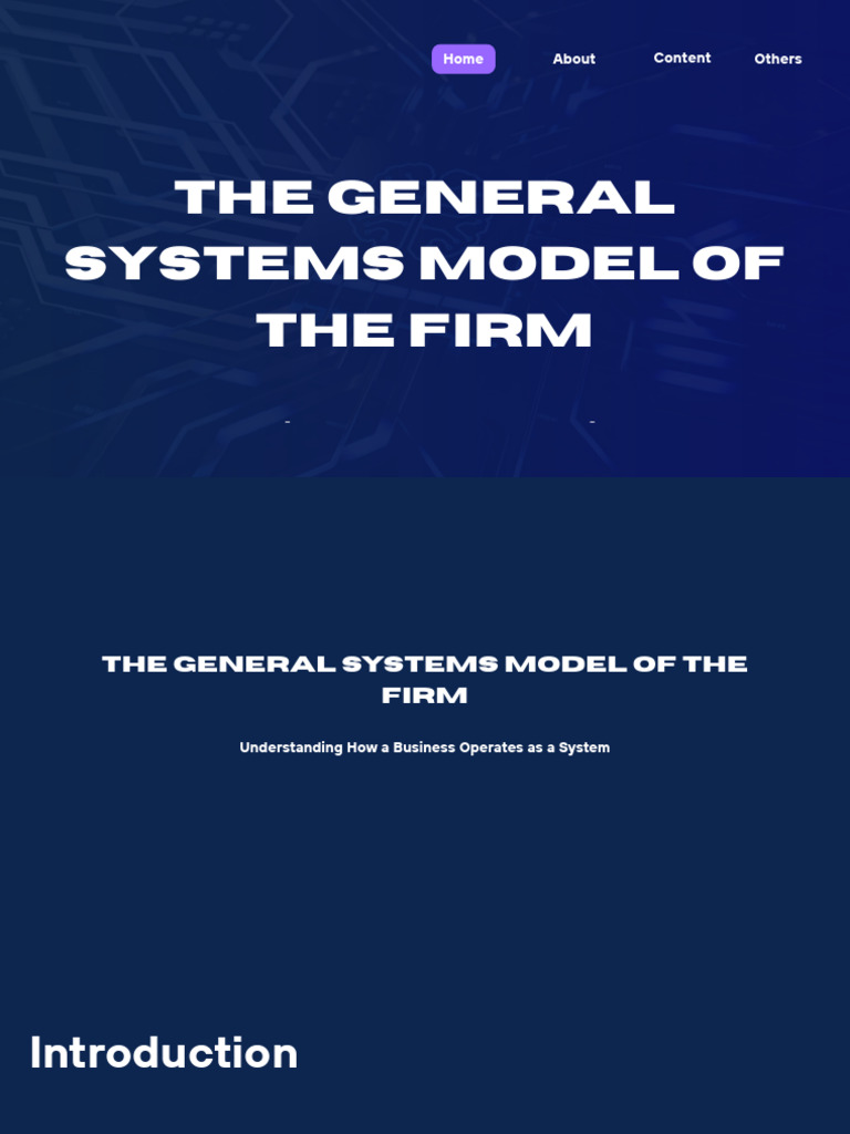 The General Systems Model of The Firm 2 | PDF