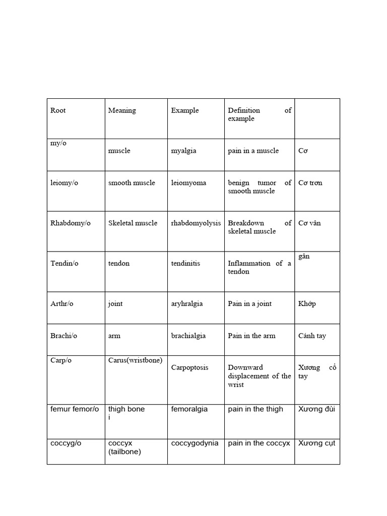 Root | PDF