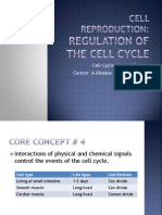 Cell Cycle Control and Cancer