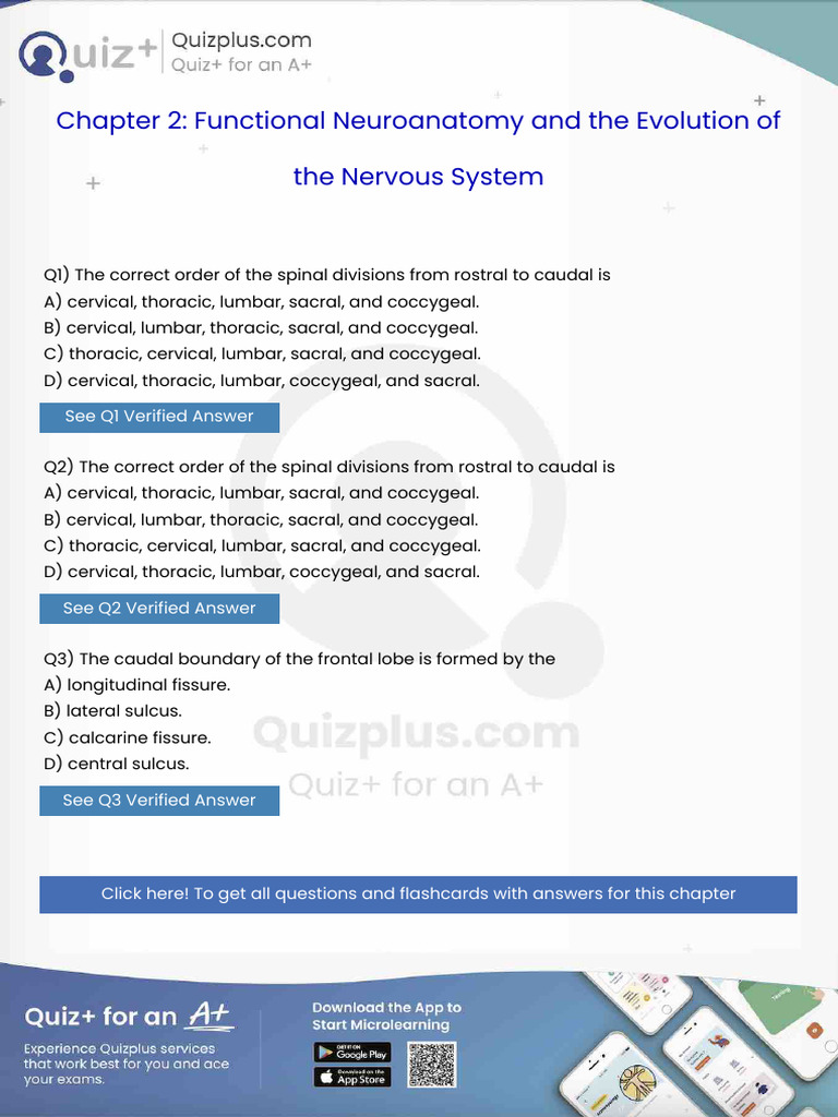 The Correct Order of The Spinal Divisions From Rostral To Caudal Is | PDF
