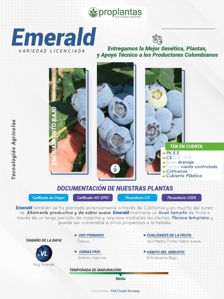Emerald | PDF