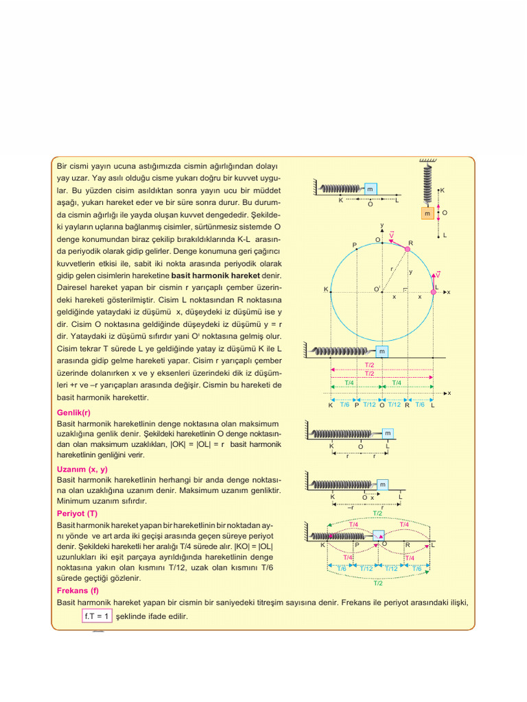 12 5 Basit Harmonik Hareket | PDF
