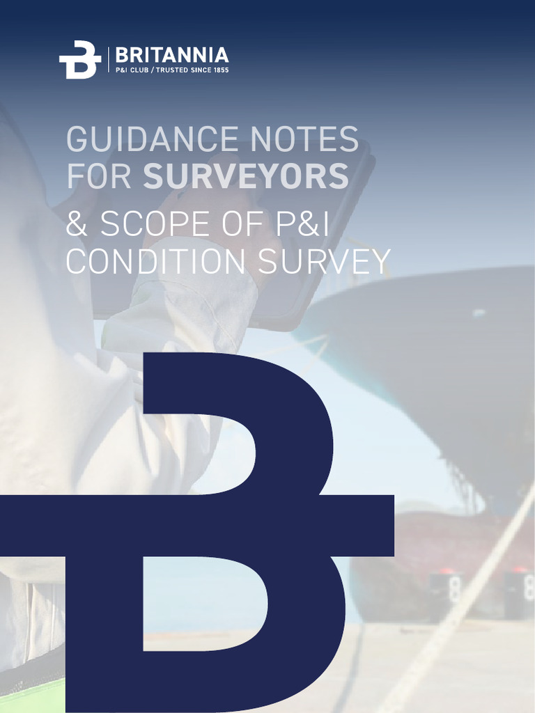 PI Condition Survey Guidance Notes For SURVEYORS 3 | PDF