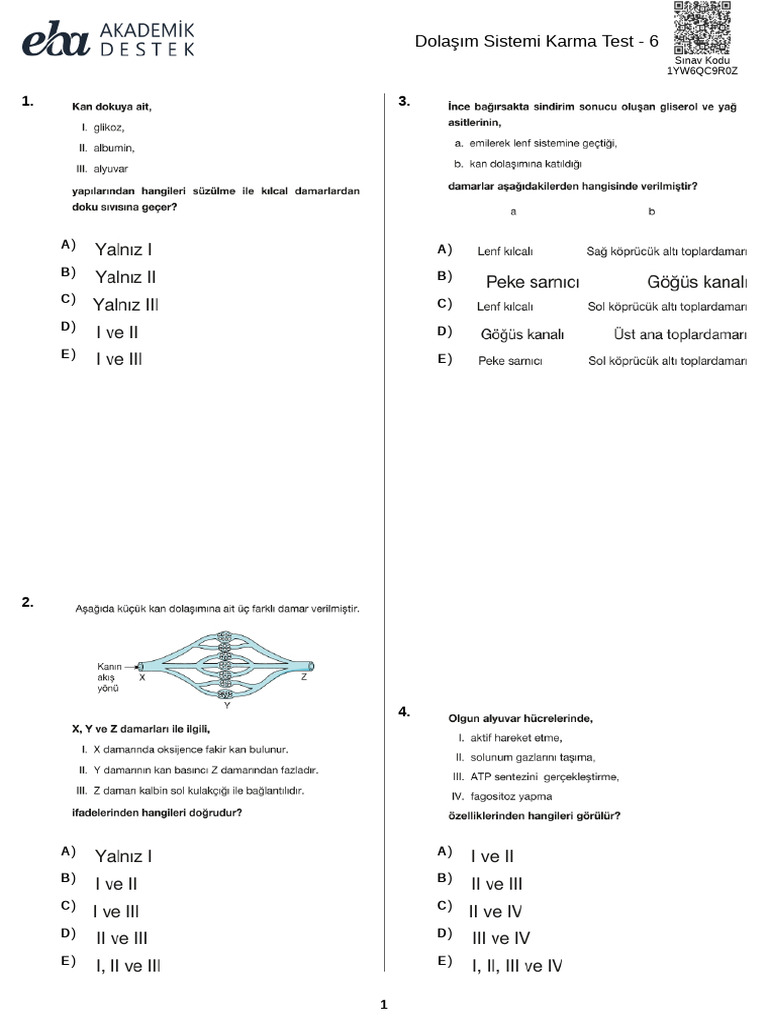 Dolaşım Sistemi Karma Test 6 | PDF