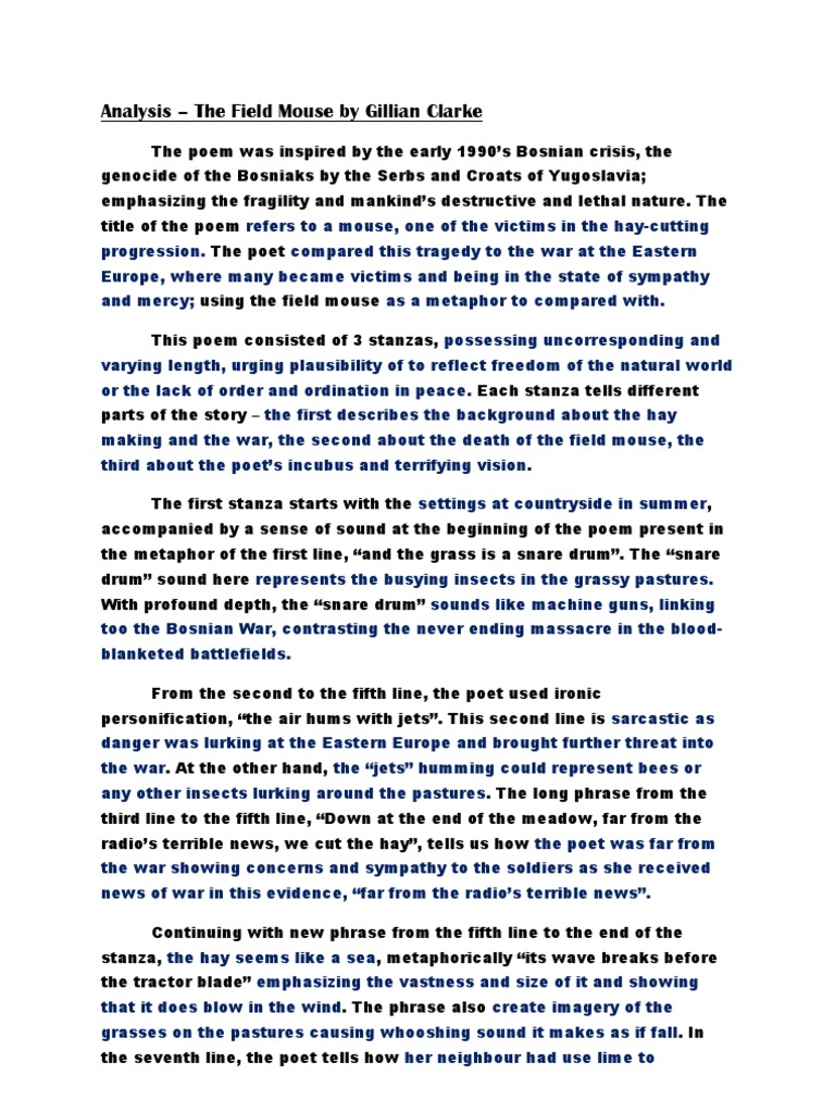 Gillian clarke the field mouse essay 05 image